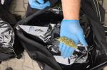 10 kg marihuany, haszyszu i kokainy z Holandii. Narkotyki jechały w torbach podróżnych ukrytych w samochodzie, przewożonym przez zestaw ciężarowy