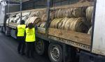 Zdjęcie: 24 tony nielegalnych odpadów zatrzymane przez funkcjonariuszy dolnośląskiej KAS