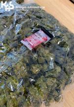 Zdjęcie: funkcjonariusze z dolnośląskiej Krajowa Administracja Skarbowa (KAS) przejęli ponad 825 g marihuany oraz 100 tabletek ecstasy.