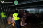 Funkcjonariuszka Służby Celno-Skarbowej na tle zatrzymanych wyrobów tytoniowych, ukrytych w blaszanym garażu (źródło: DUCS)