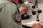 Funkcjonariusz Służby Celno-Skarbowej bada próbki materiału pod mikroskopem