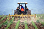 Rolnik jedzie na traktorze i uprawia pole