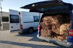 Zatrzymane dwa busy na polskich rejestracjach. Zabezpieczono blisko 1,5 tony suszu tytoniowego  
