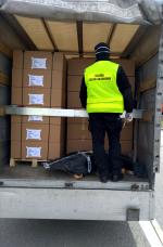 Zdjęcie przedstawia funkcjonariusza służby celno-skarbowej oraz zapakowane w kartonach rękawiczki ochronne w pojeździe transportowym